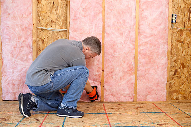 Best Energy Efficiency Solutions in De Soto, IL